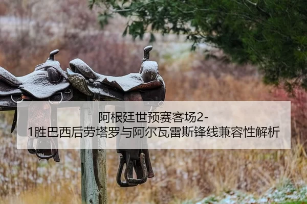 阿根廷世预赛客场2-1胜巴西后劳塔罗与阿尔瓦雷斯锋线兼容性解析