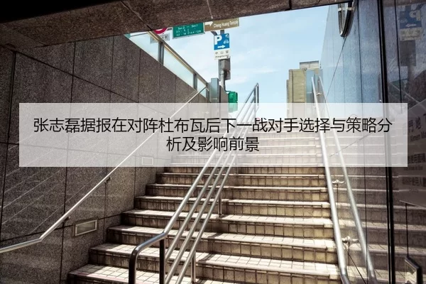张志磊据报在对阵杜布瓦后下一战对手选择与策略分析及影响前景